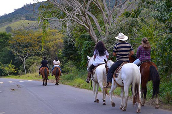 Passeios a Cavalo